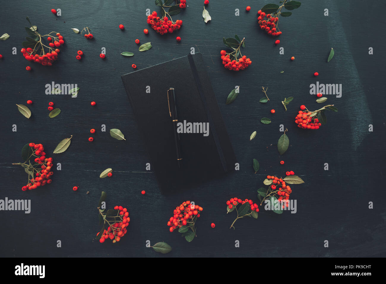 Closed black moleskin notebook flat lay on dark office desk decorated with wild berry fruit arrangement Stock Photo