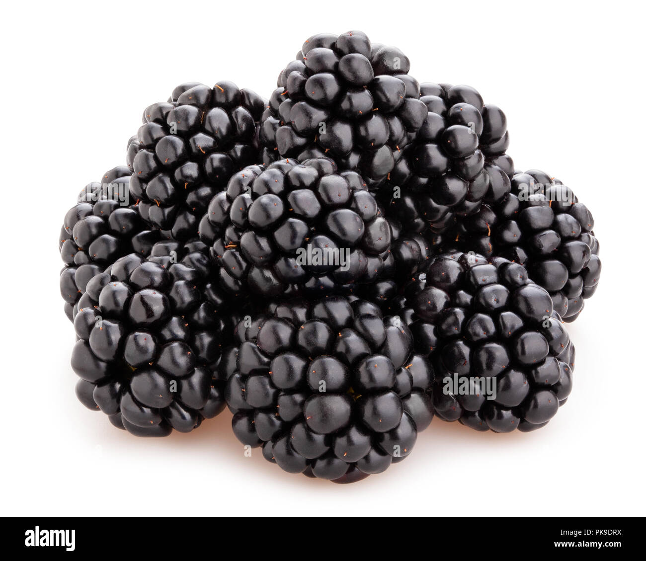blackberry path isolated Stock Photo