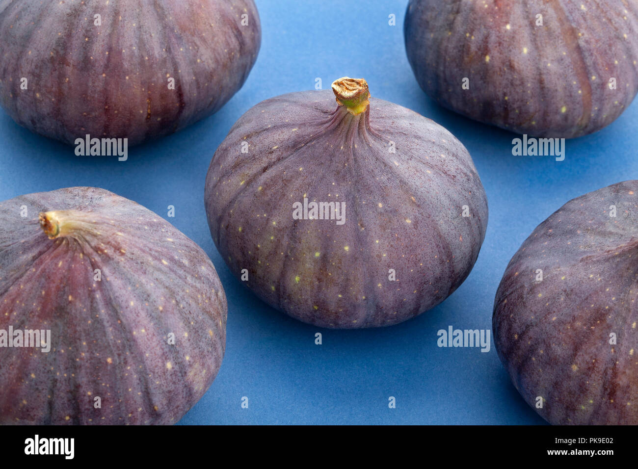 figs on blue background Stock Photo Alamy