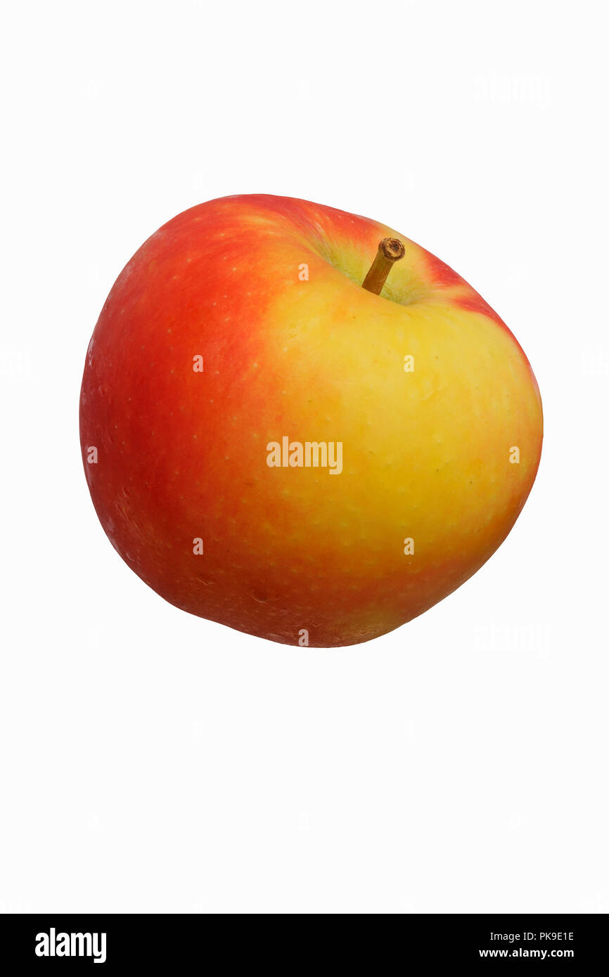 Kanzi apple (Malus domestica Nicoter). Hybrid between Gala apple and Braeburn apple. Stock Photo