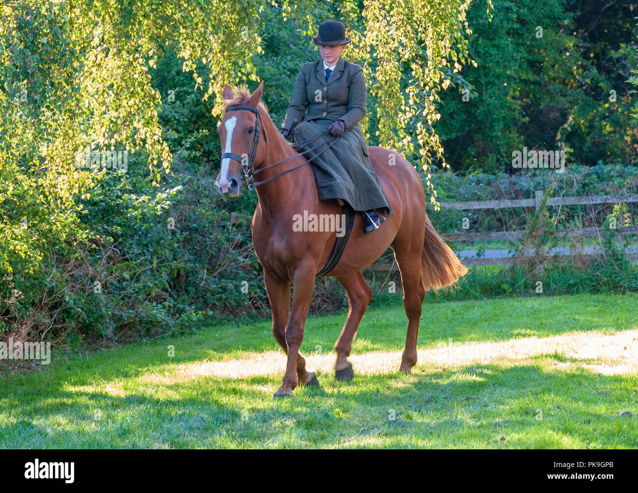 An elegent young lady riding in a traditional side saddle wearing bowler hat and face veil Stock Photo