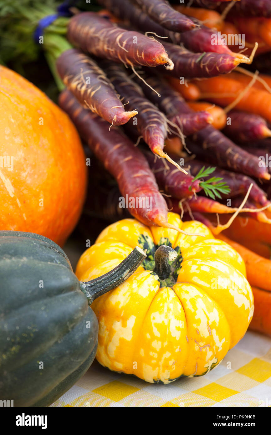Colorful purple, orange and yellow carrots and squash display of organic fall autumn vegetables at farmers market. Selective focus on yellow squash. Stock Photo