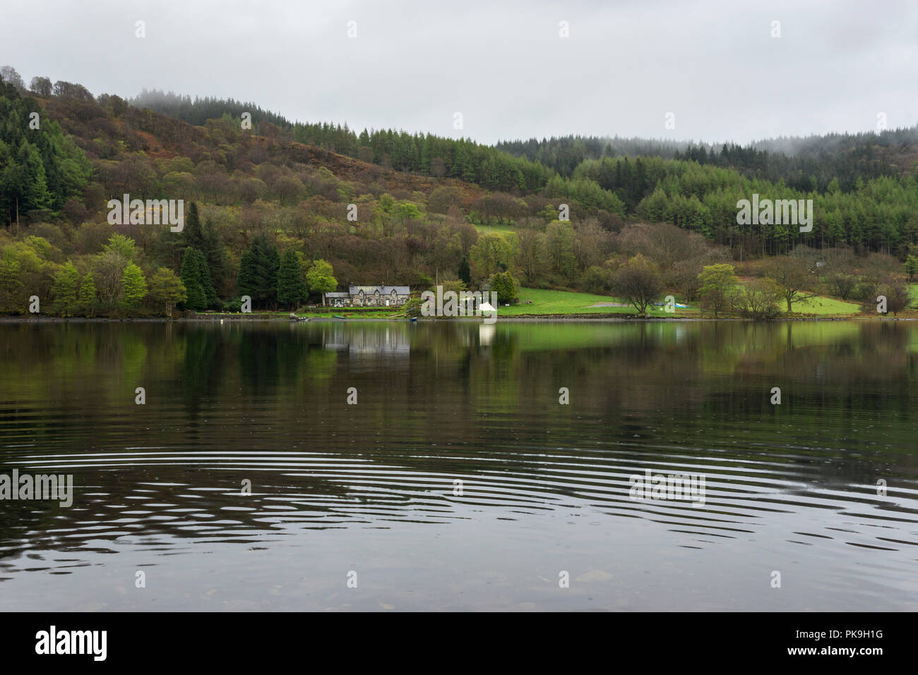 Rainy spring day at Llyn Crafnant near Trefriw in Snowdonia, North Wales. The lakeside cafe on the opposite bank. Stock Photo