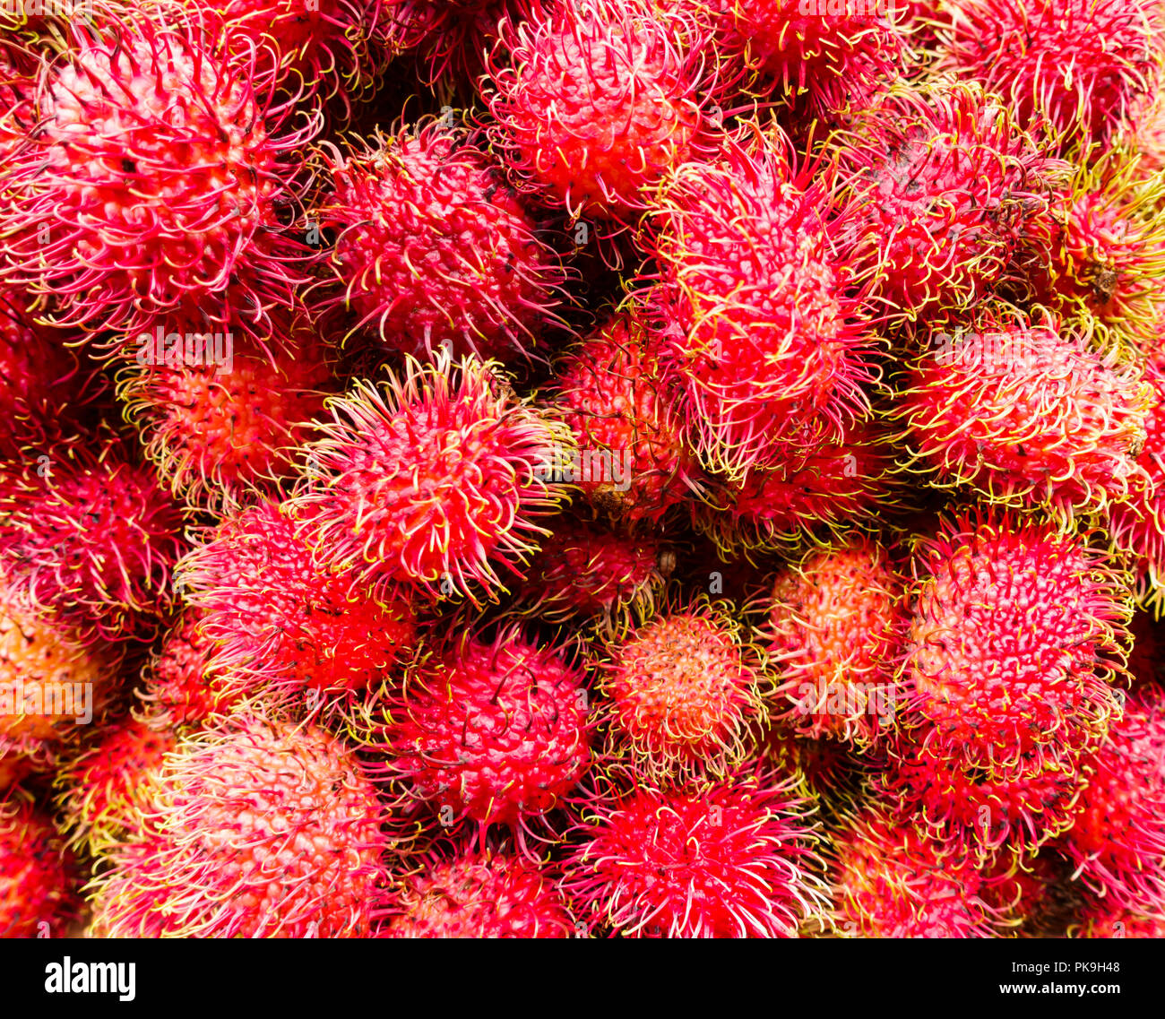 Close-up of fresh Asian Indonesian rambutan tropical fruits produce for sale at a market in Chinatown, New York City, United States, USA Stock Photo