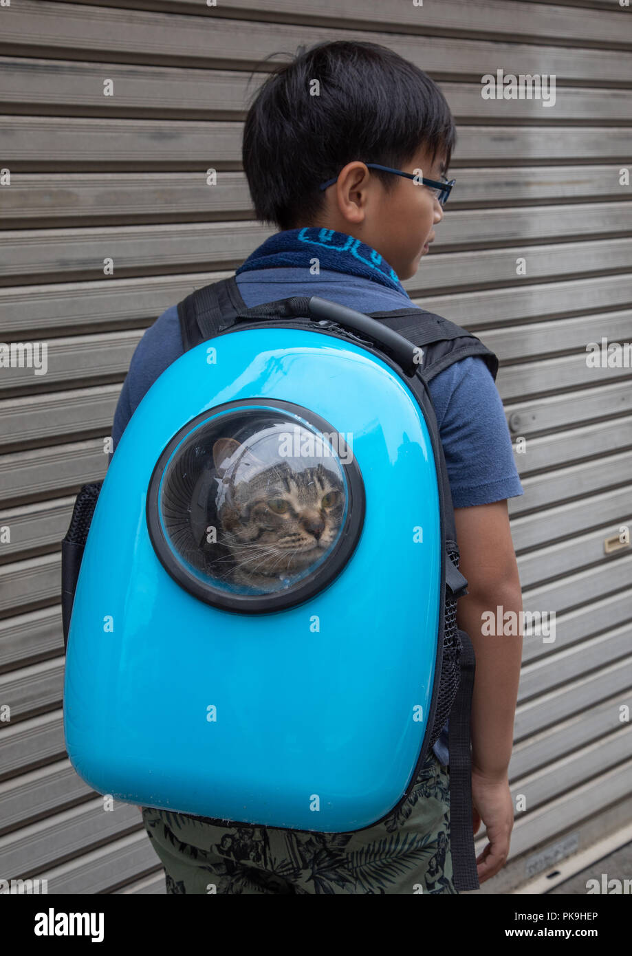 japanese cat backpack