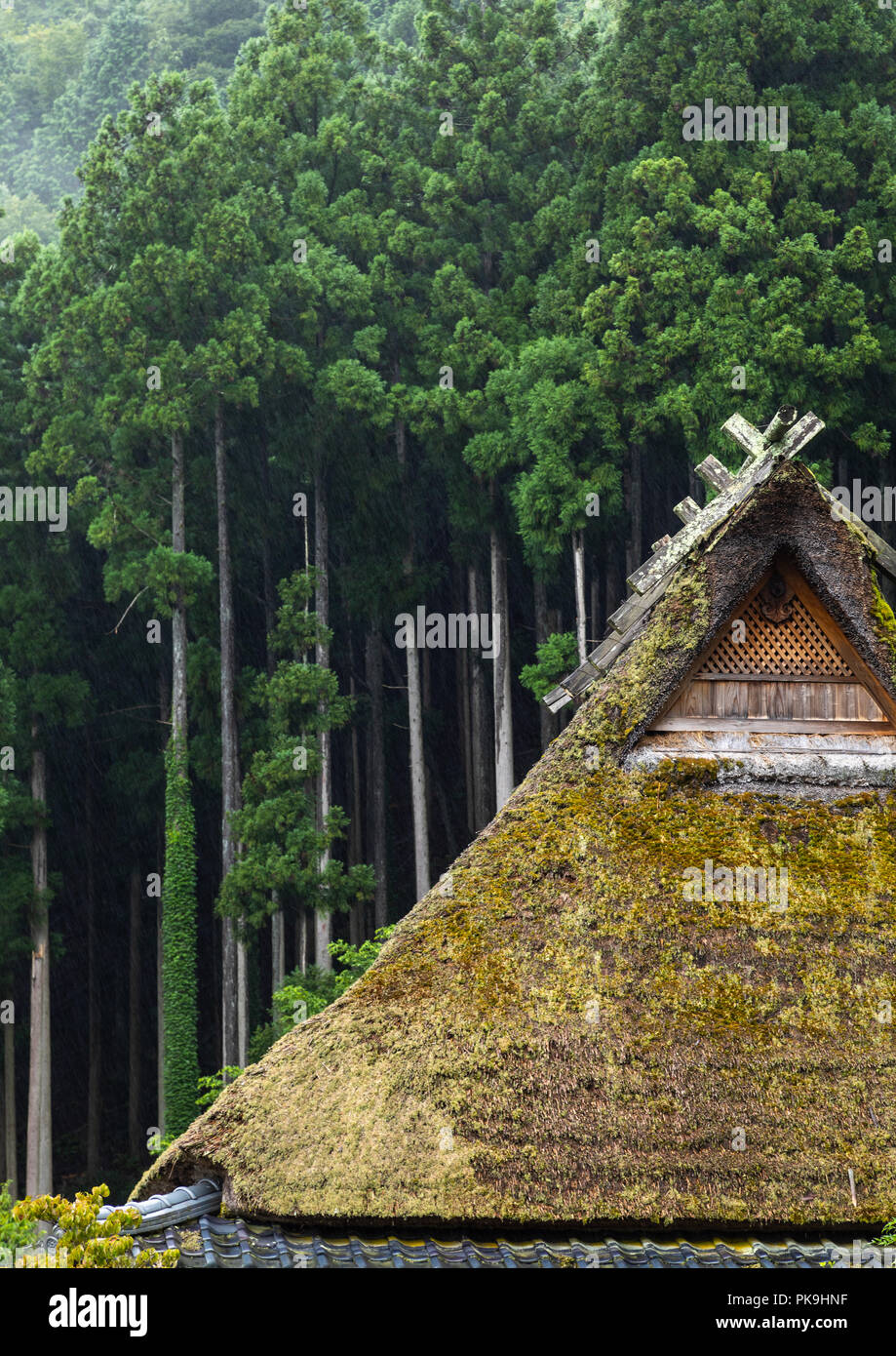 Thatched Roofed Houses In A Traditional Village Against A Forest Kyoto Prefecture Miyama Japan Stock Photo Alamy