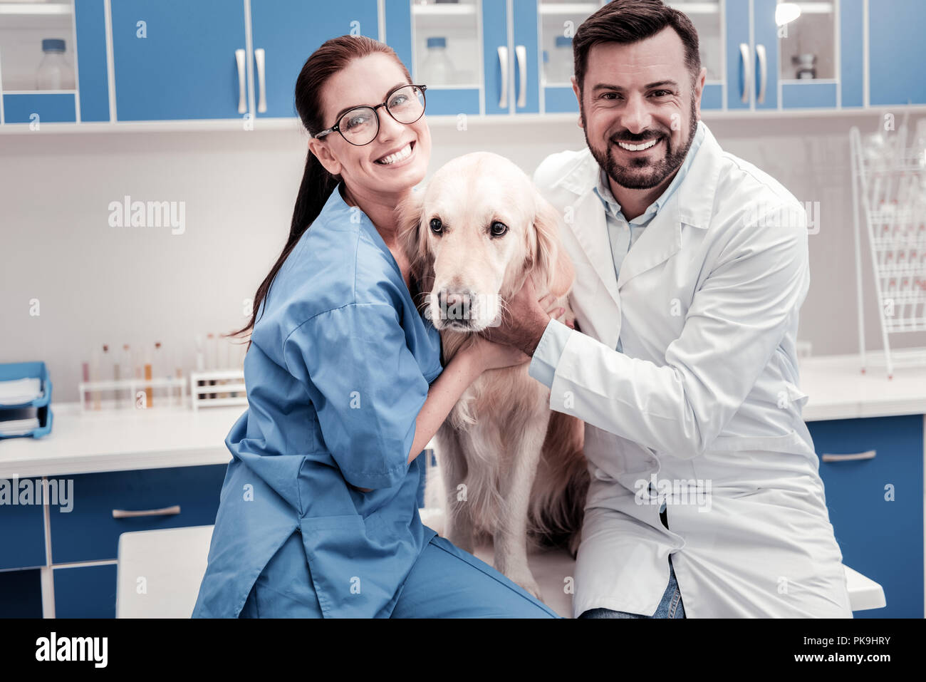 Positive delighted vet workers posing on camera Stock Photo Alamy