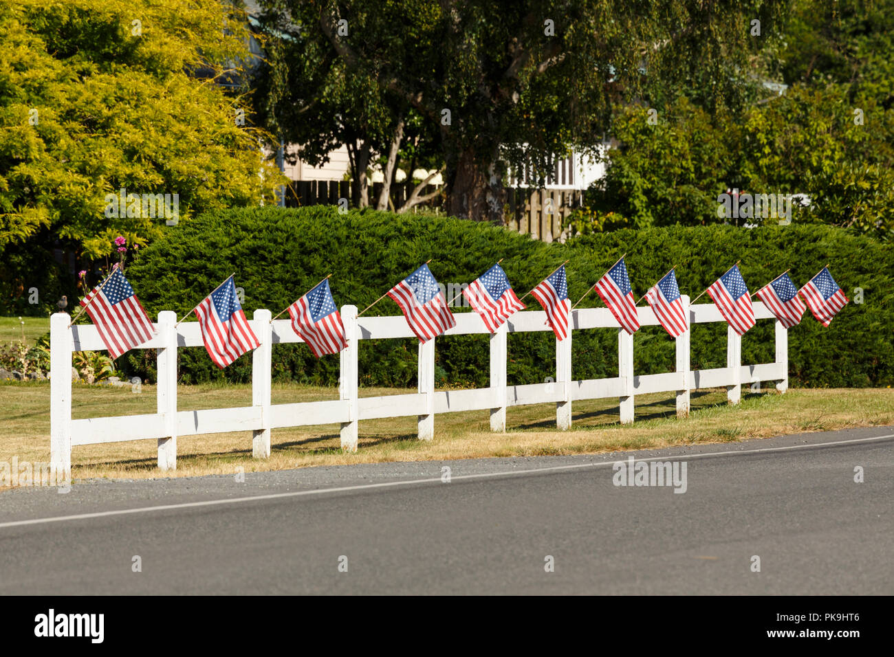 Patriotic display of American flags waving on white picket fence next to a road. Typical small town Fourth of July Independence Day decorations. Stock Photo