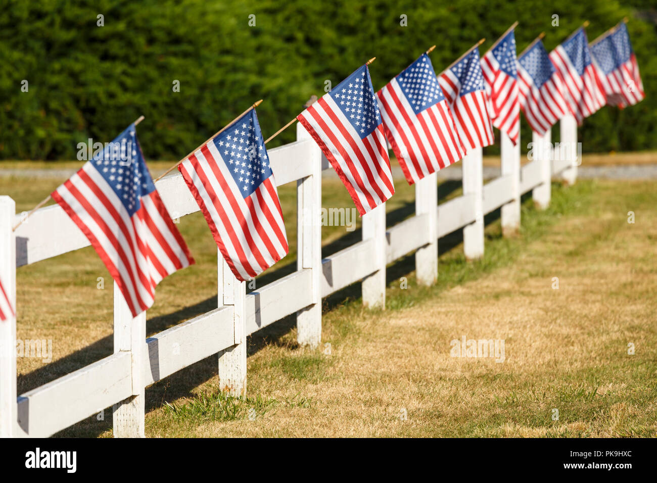 Patriotic display of American flags waving on white picket fence. Typical small town Americana Fourth of July Independence Day decorations. Stock Photo