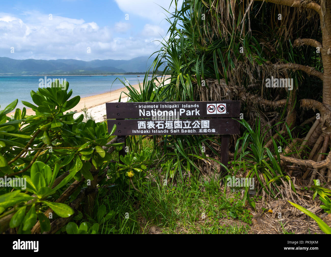 Salt beach, Yaeyama Islands, Ishigaki-jima, Japan Stock Photo