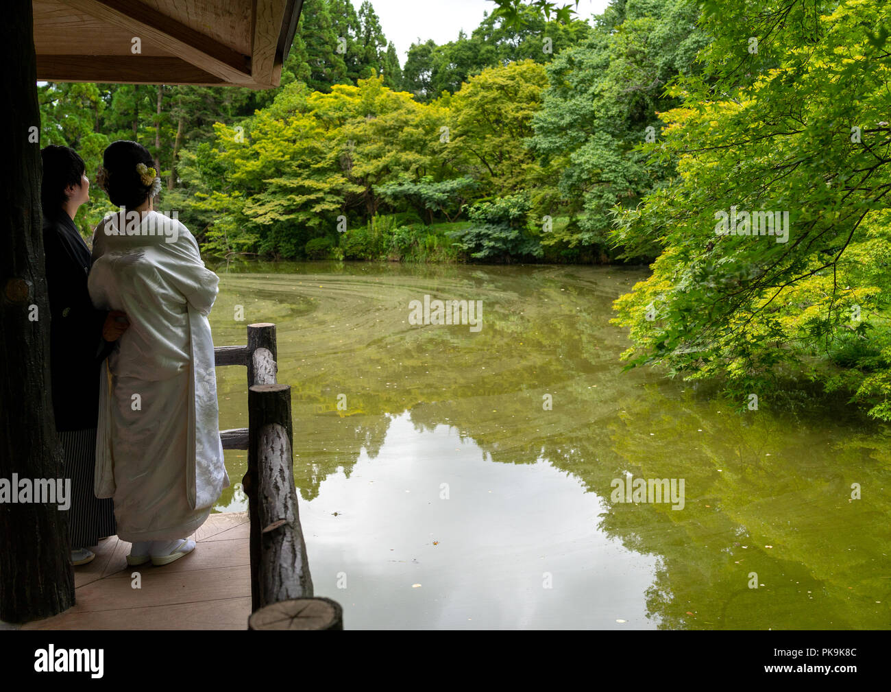 Newly-wed couple looking at the pond of the botanic garden, Kansai region, Kyoto, Japan Stock Photo