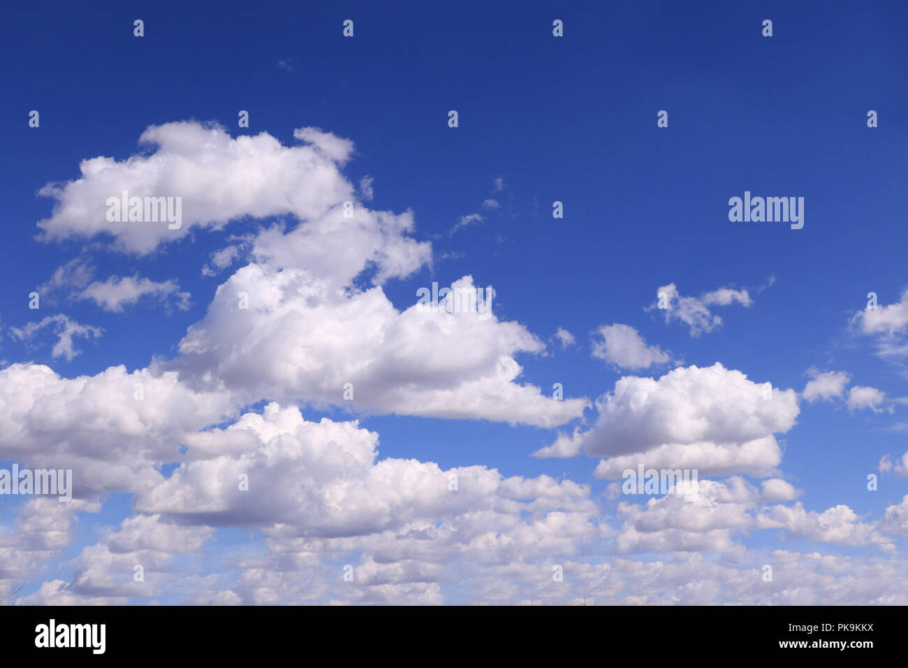 Here is a background design that can be used for many applications. It was originally designed as a credit card background. Isolated on white. Illustr Stock Photo