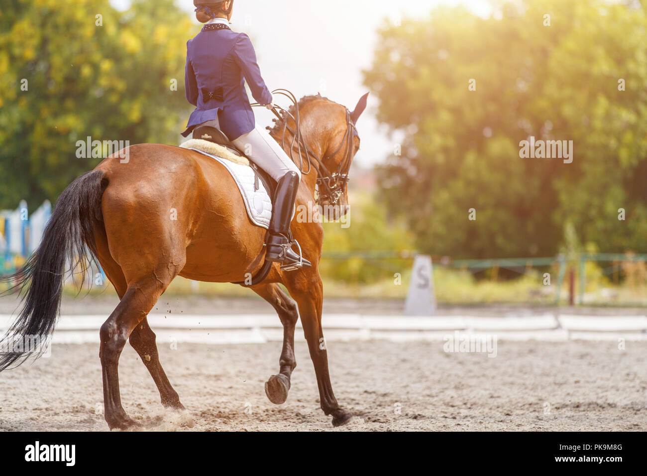 Young girl on bay horse performing dressage test Stock Photo Alamy