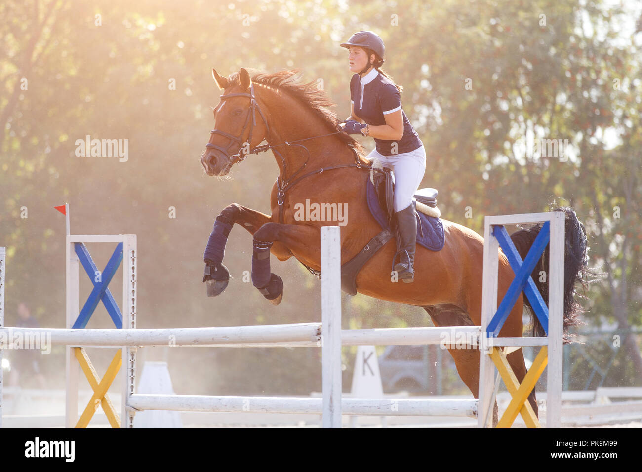 Young horse rider girl on show jumping competition Stock Photo