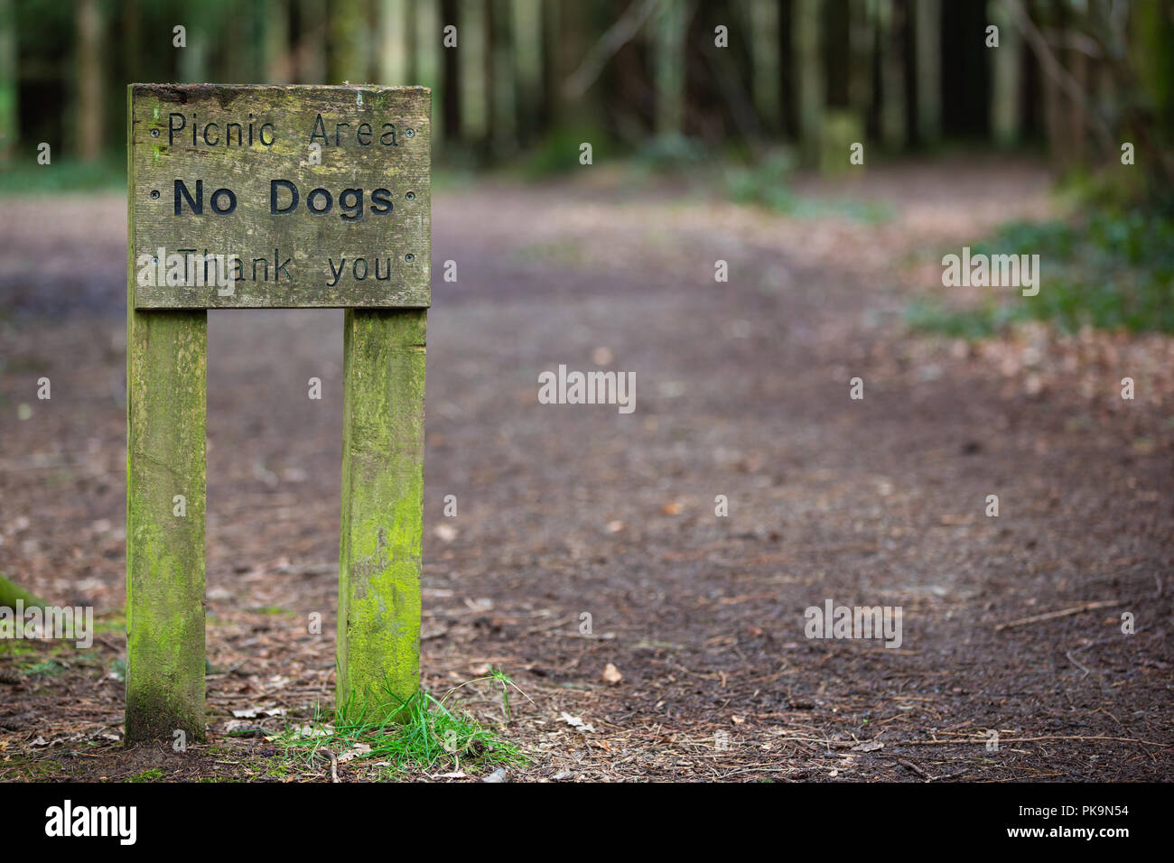 No dogs sign in picnic area Stock Photo