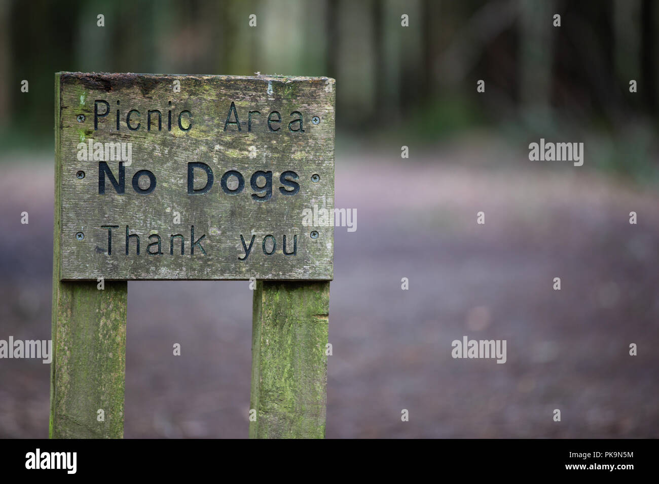 No dogs sign in picnic area Stock Photo