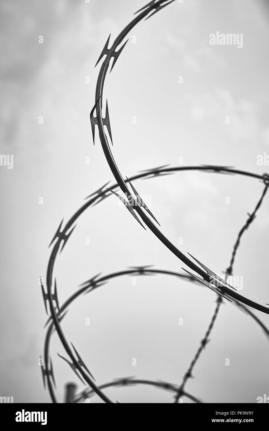 Black and white picture of a razor barbed wire against the sky, selective focus. Stock Photo