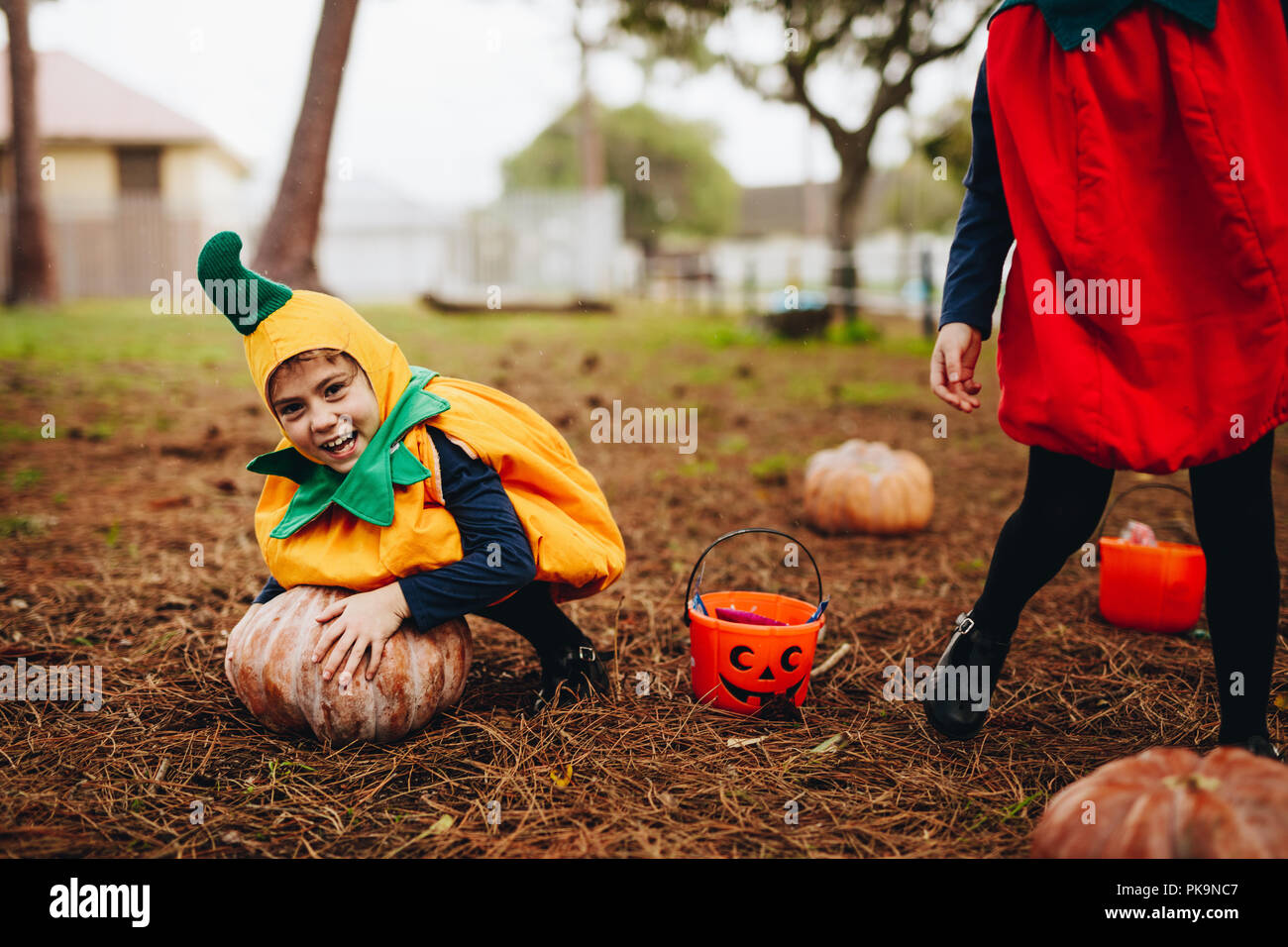 Happy little girl in halloween costume trying to pick a big pumpkin from ground. Little children having fun on halloween. Stock Photo
