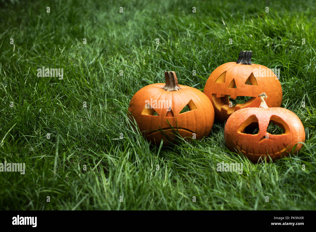 halloween carved pumpkin on grass. jack-o-lantern Stock Photo - Alamy