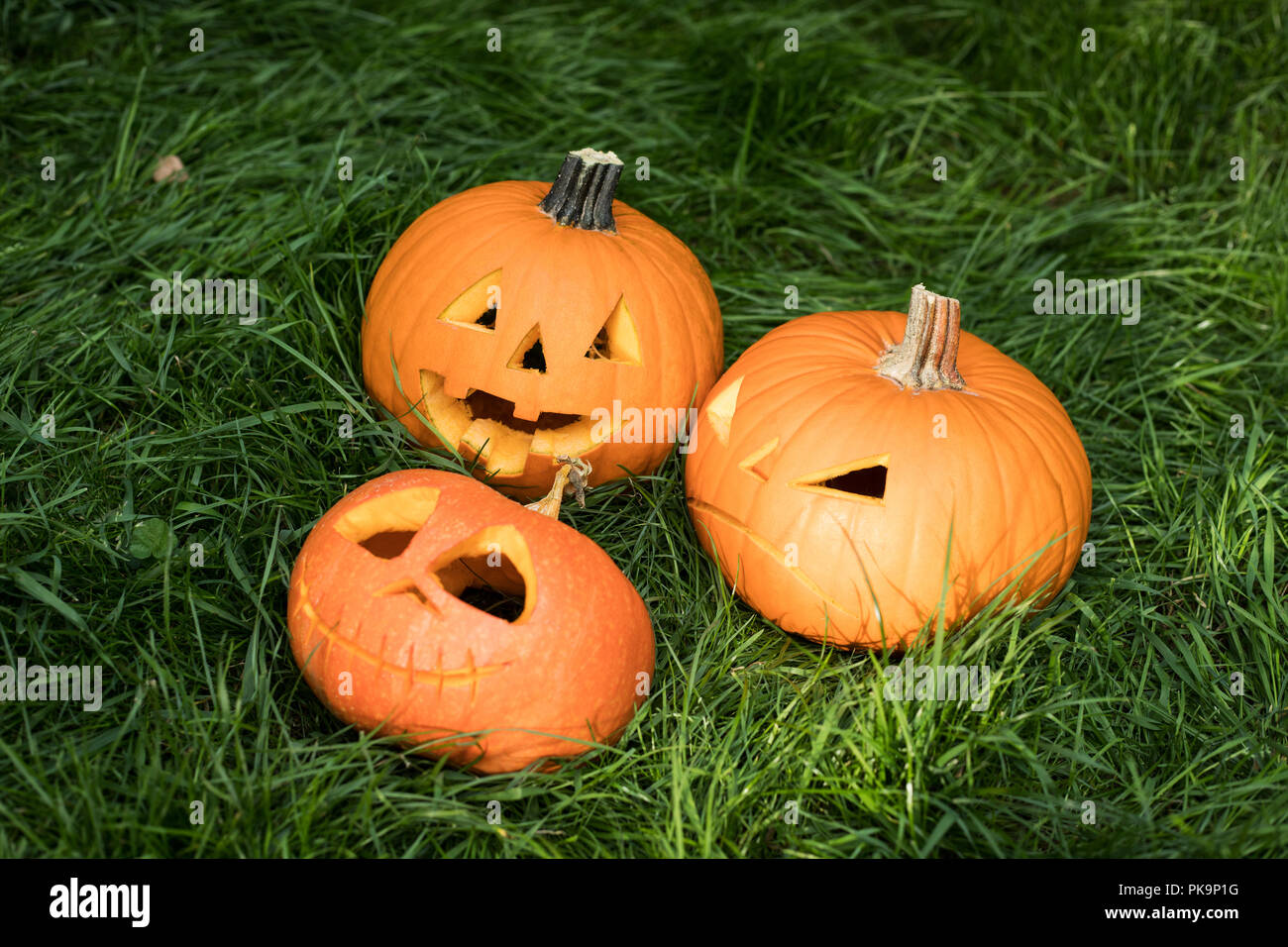halloween carved pumpkin on grass. jack-o-lantern Stock Photo - Alamy