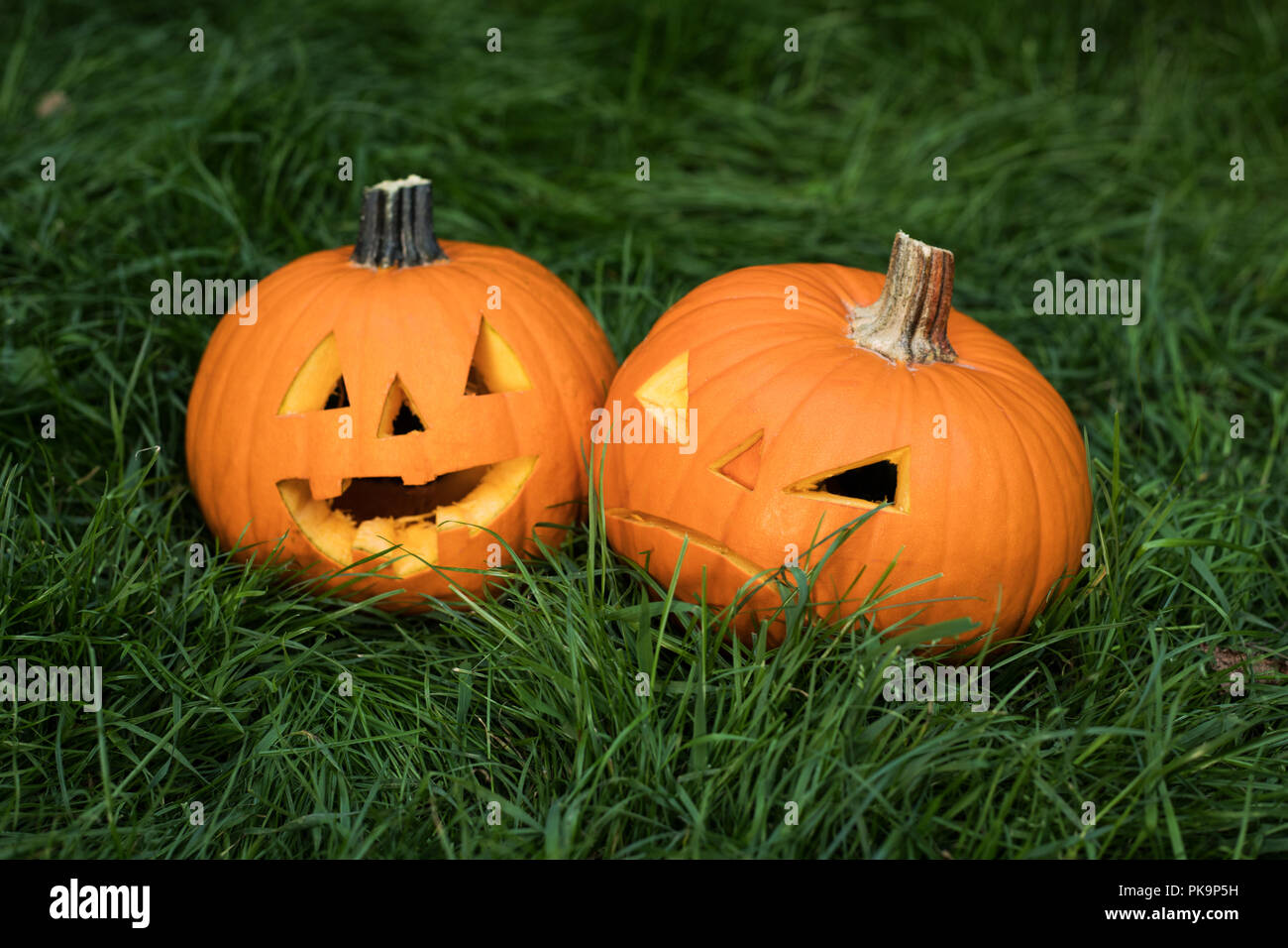 halloween carved pumpkin on grass. jack-o-lantern Stock Photo - Alamy