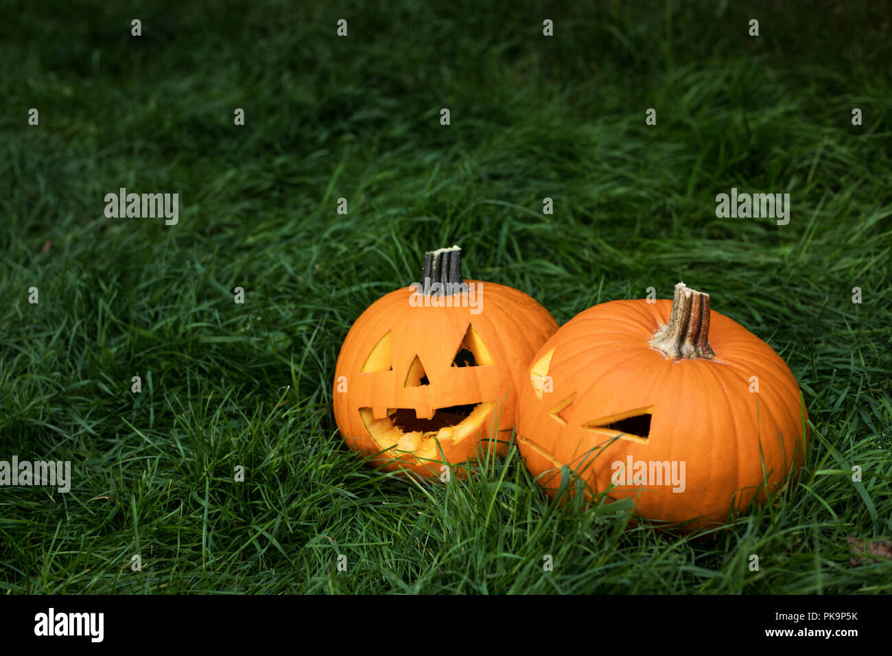 halloween carved pumpkin on grass. jack-o-lantern Stock Photo - Alamy