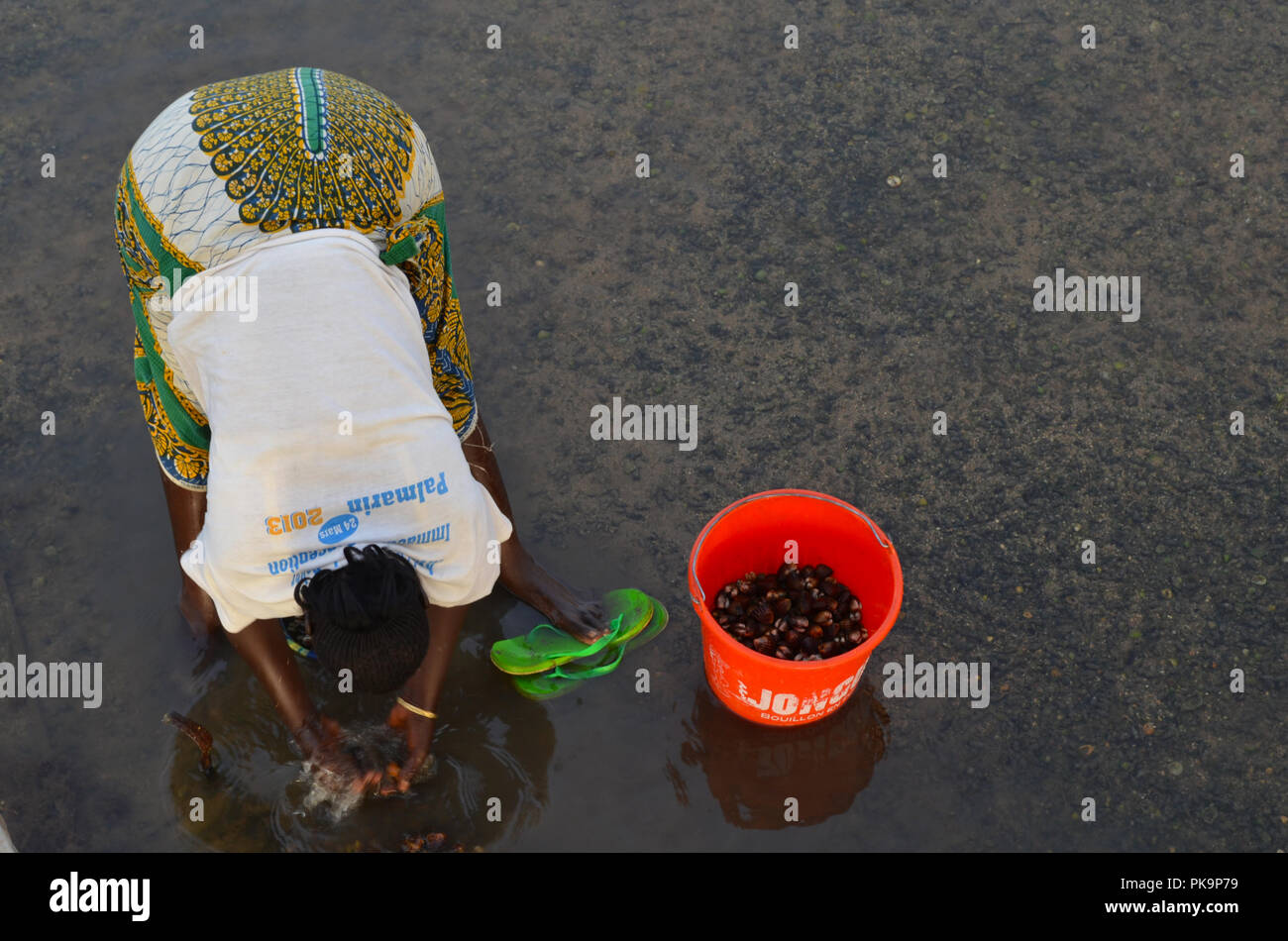 Sustainable Development Goals: women gathering shellfish from the ...