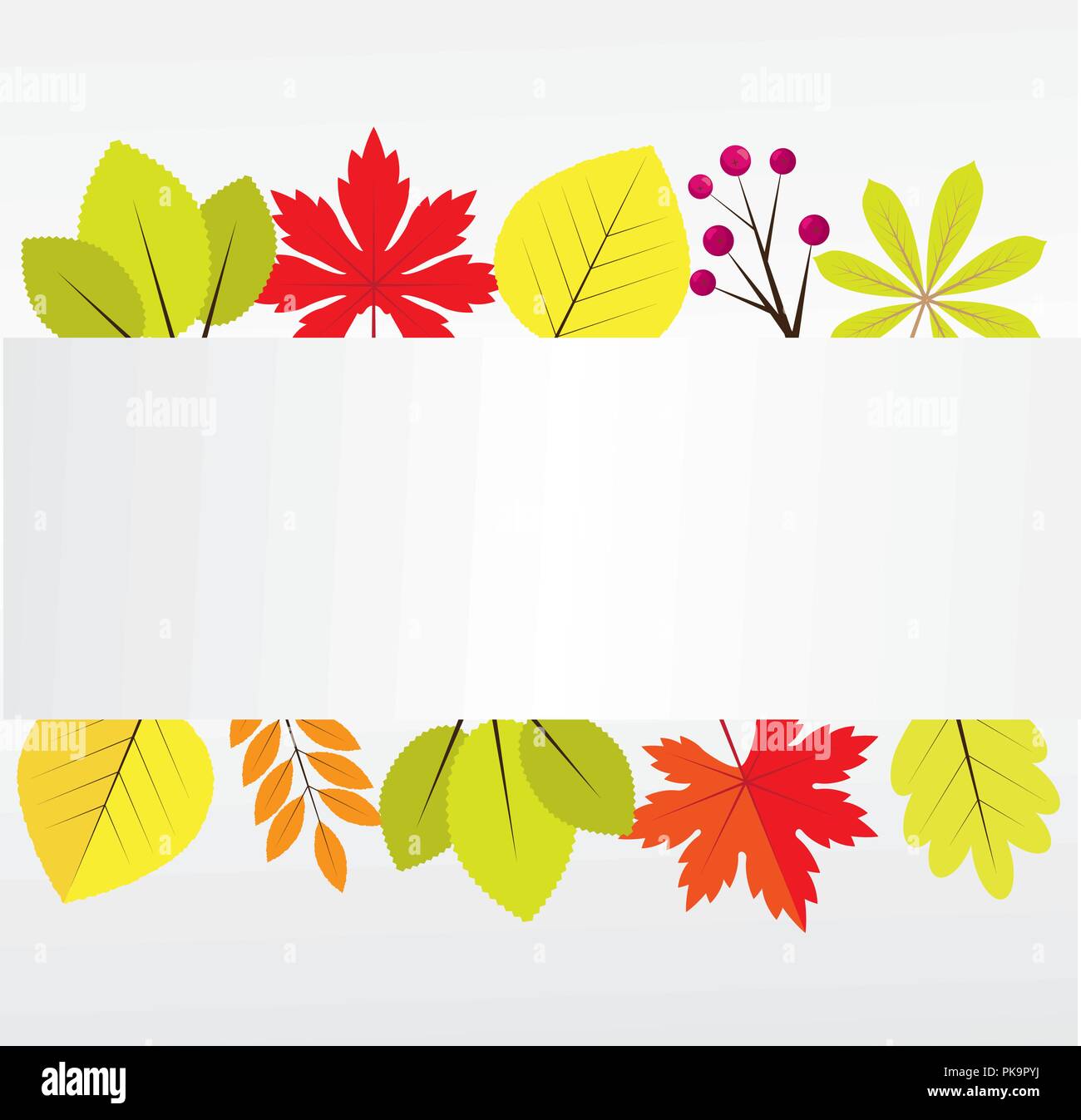 vector illustration of fall, autumn leaves. fall, autumn background ...