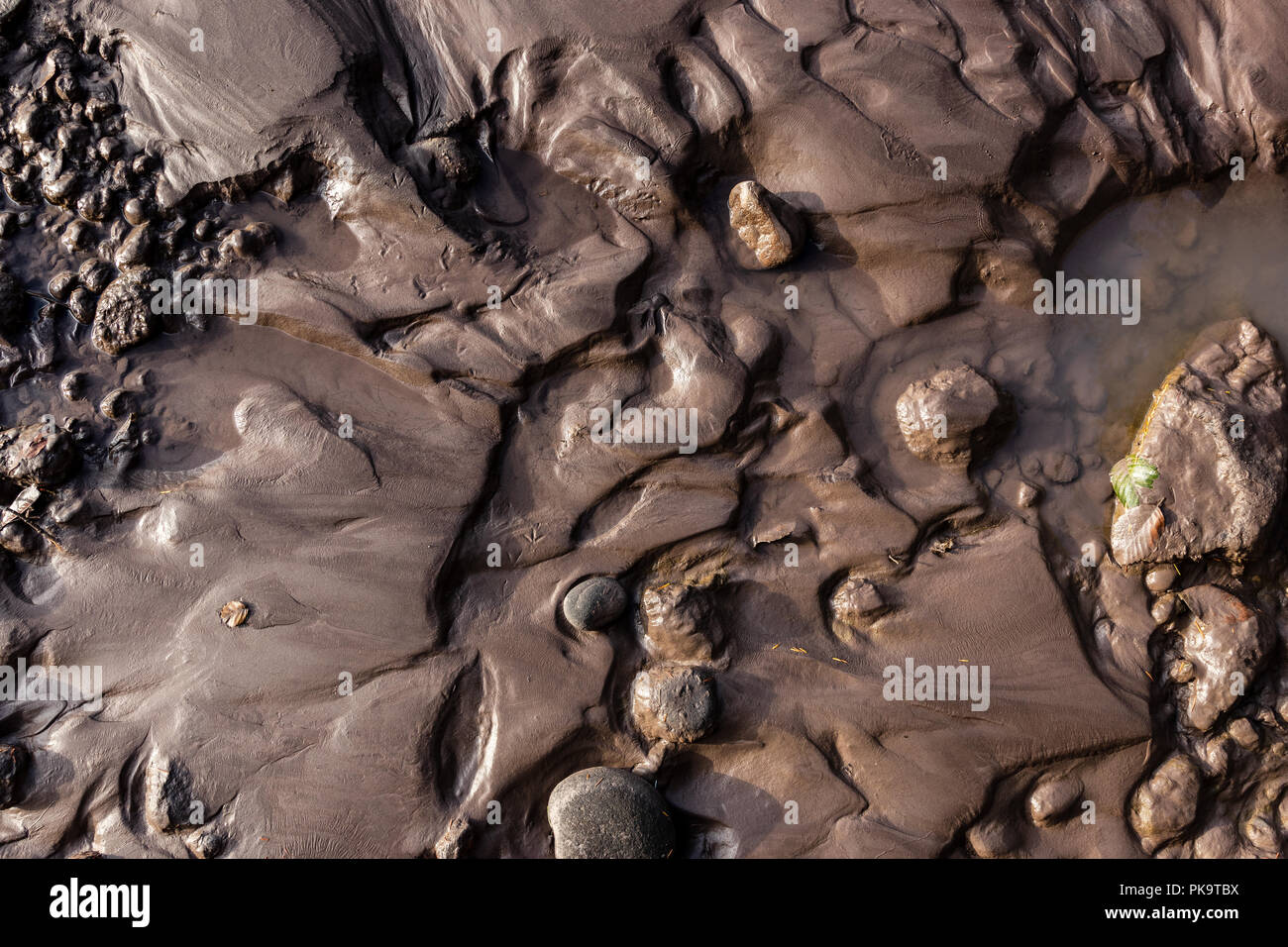 Glacial Riverbank Shore With Wet Black Silt Sand Mud Water Channels Stock Photo Alamy Glacial Riverbank Shore With Wet Black Silt Sand Mud Water Channels Stock Photo Alamy