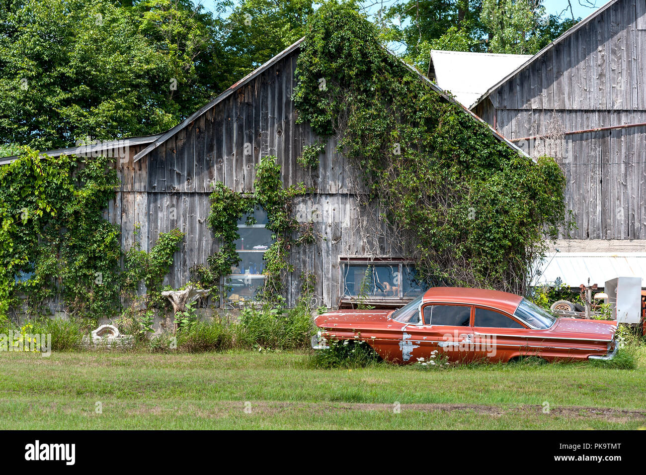 Abandoned Ford Mercury by barn Stock Photo