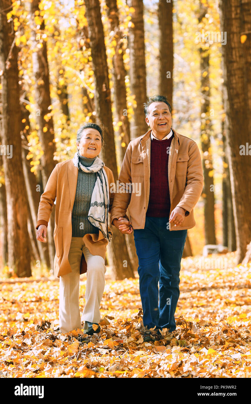 Elderly couple walking in the woods Stock Photo - Alamy