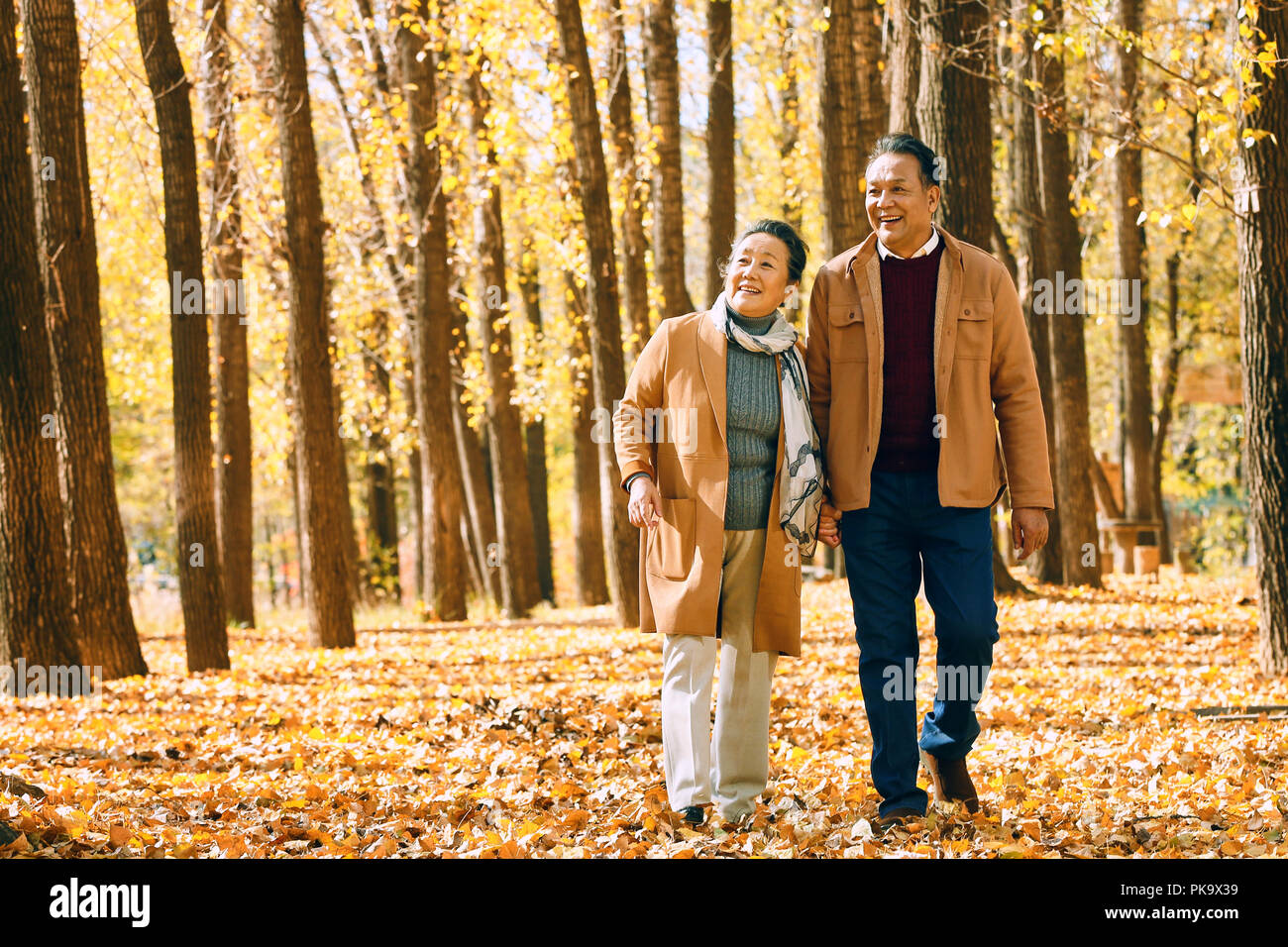 Elderly couple walking in the woods Stock Photo - Alamy