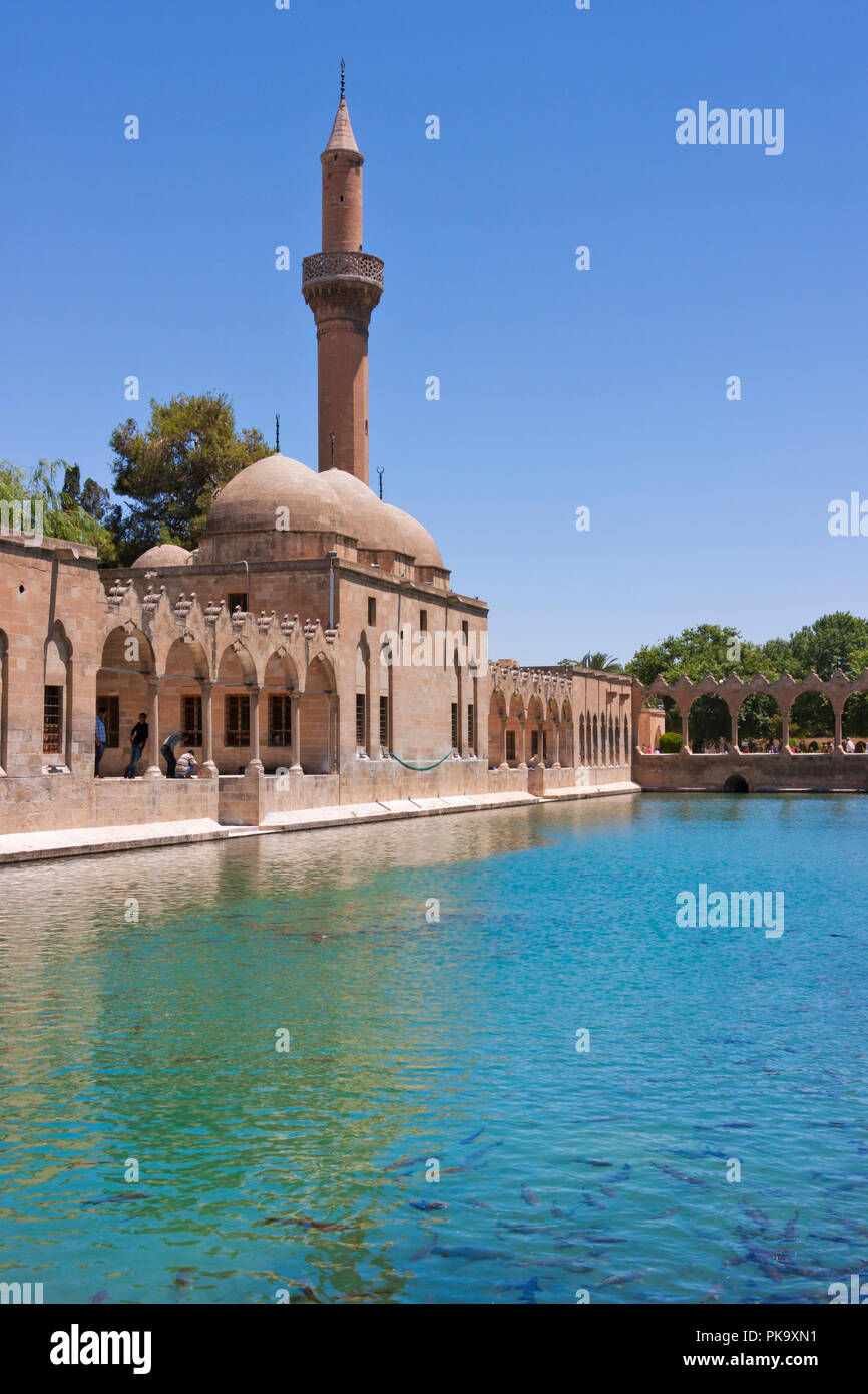 Halil-ur Rahman Mosque and Pool of Sacred Fish, Sanliurfa, Turkey Stock Photo