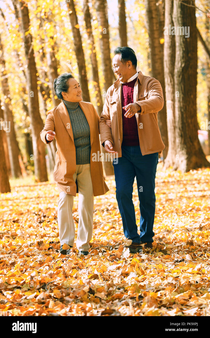 Elderly couple walking in the woods Stock Photo - Alamy