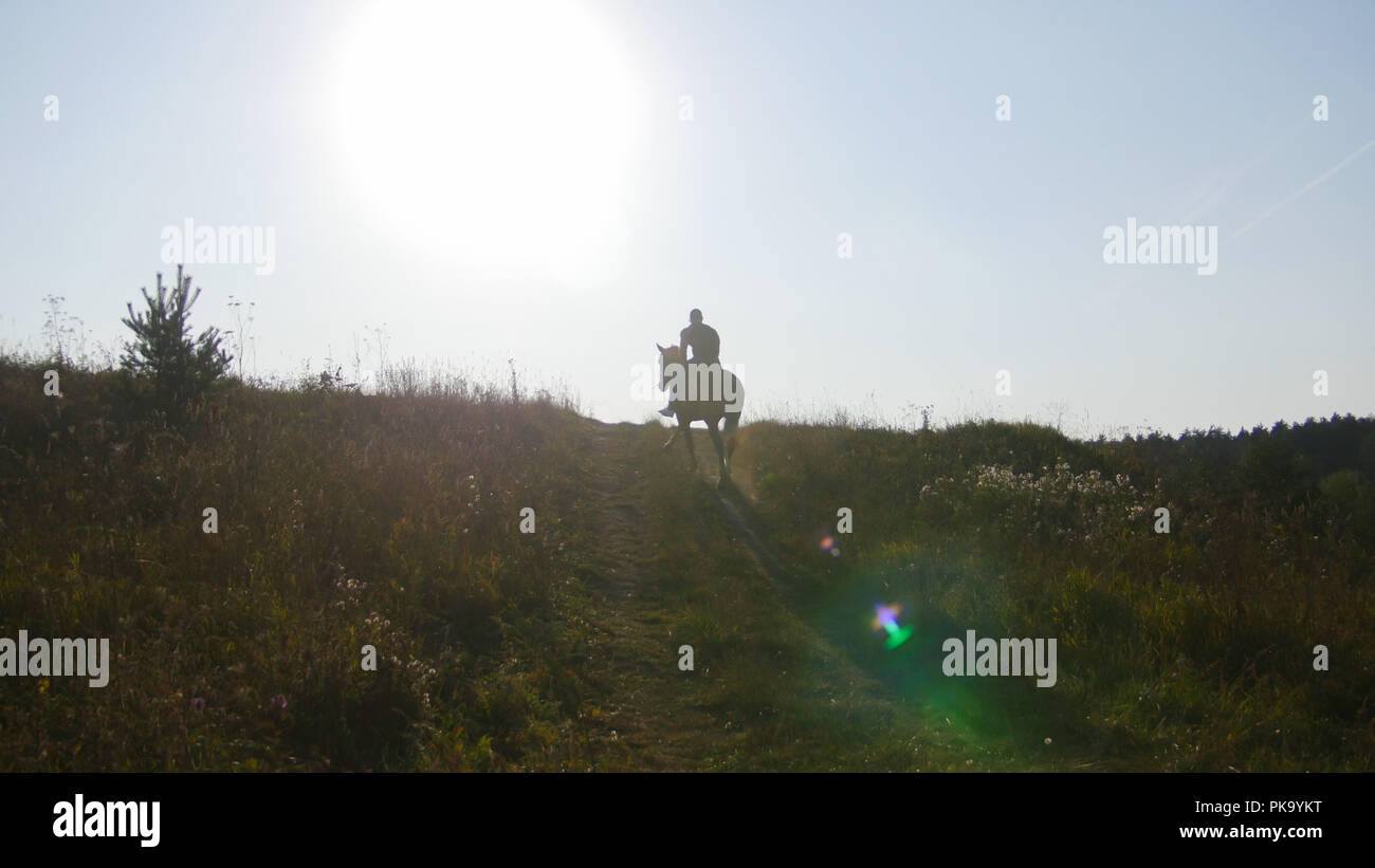 Strong male bodybuilder riding a horse walking in nature, horizon field