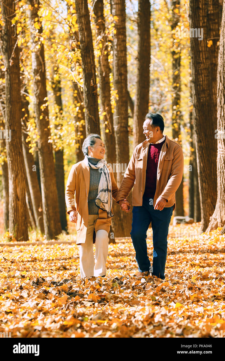 Elderly couple walking in the woods Stock Photo - Alamy