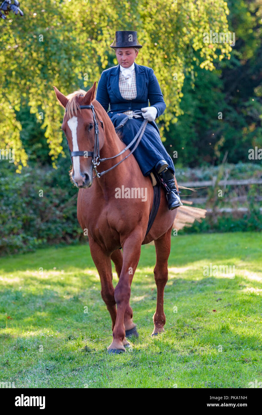 Posh country english woman hi-res stock photography and images - Alamy