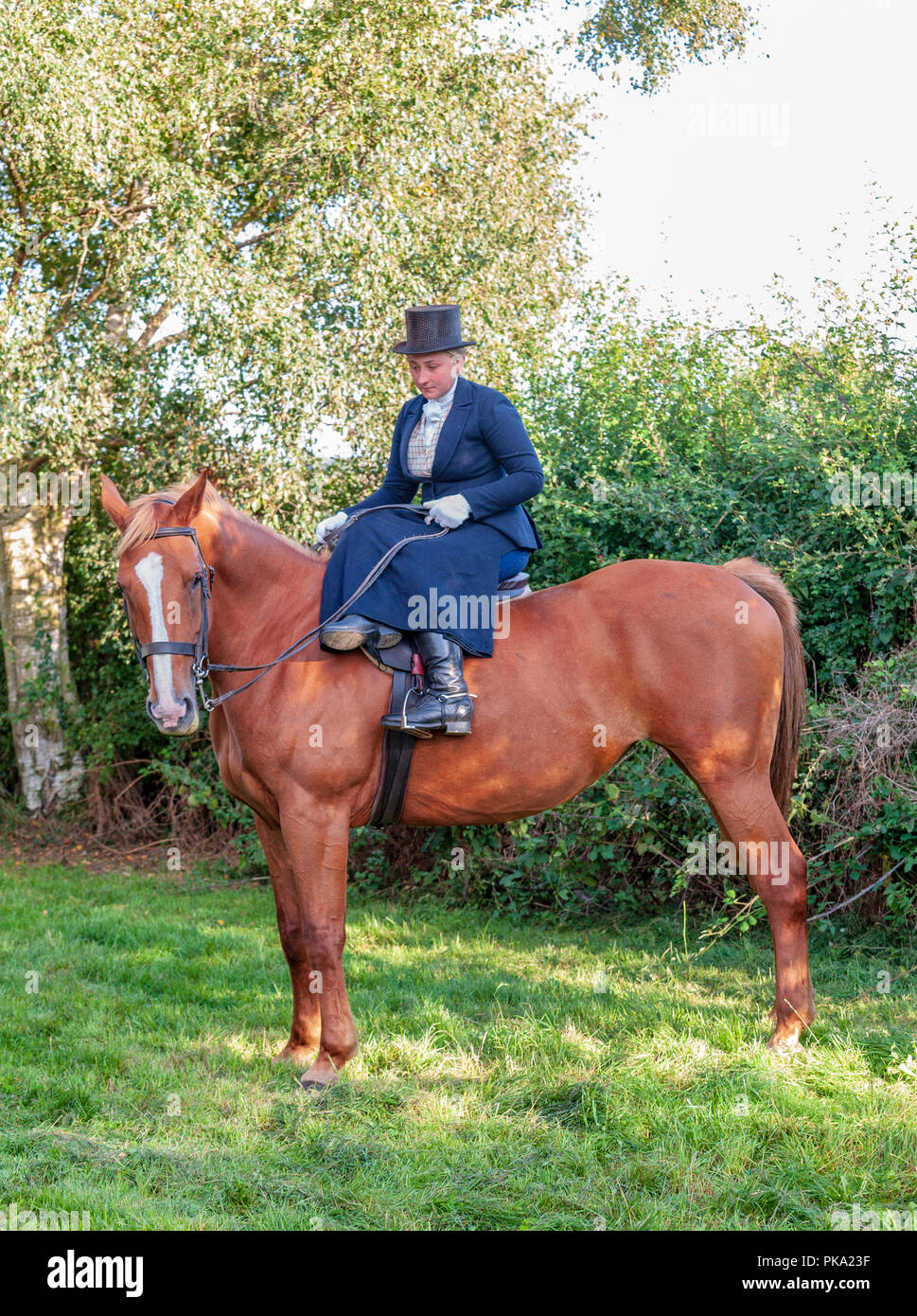 Female equestrian top hat hi-res stock 