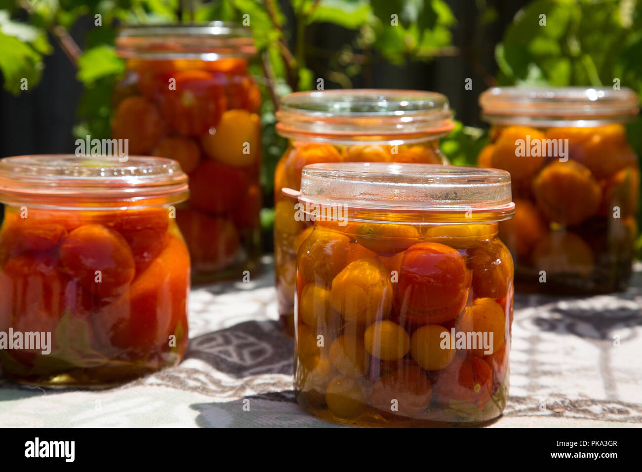 Preserved various tomatoes in glasses Stock Photo Alamy
