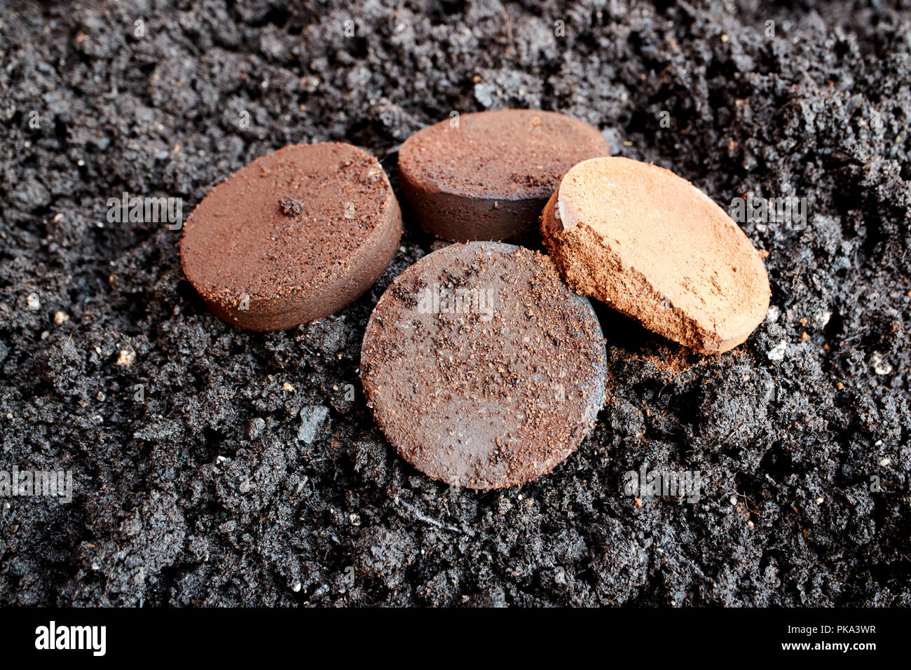 Adding Used Coffee Grounds To Compost And Soil For Conditioning In