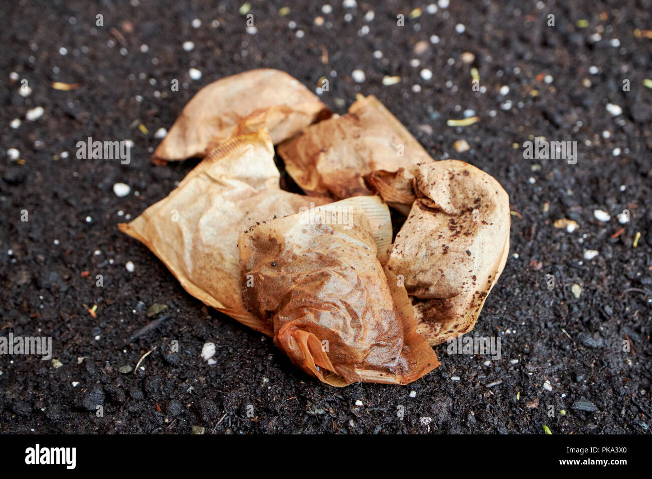 adding used tea bags to compost and soil for conditioning in a garden ...