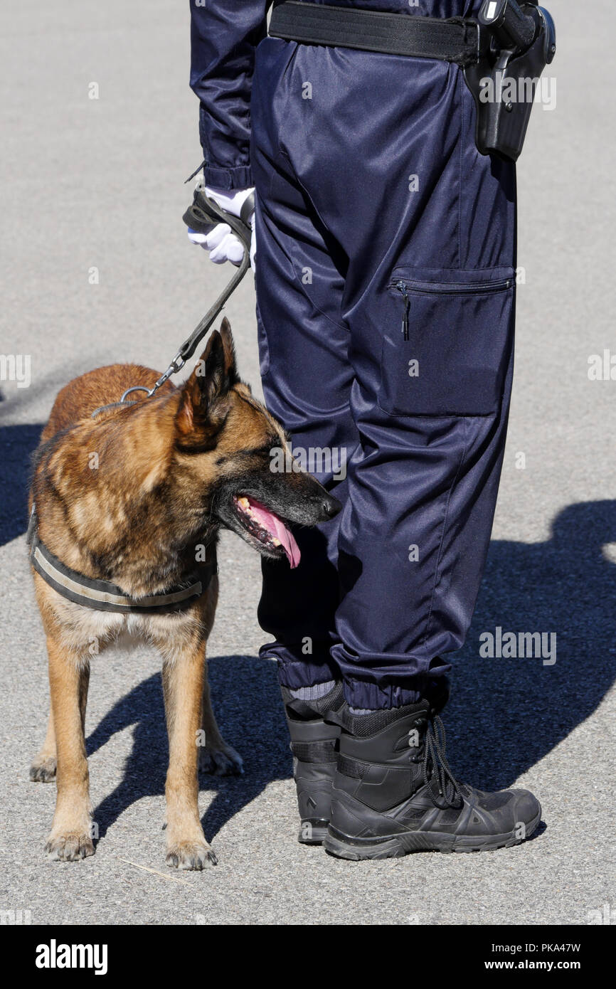 French Gendarmery Police dog, SathonayCamp, France Stock Photo Alamy