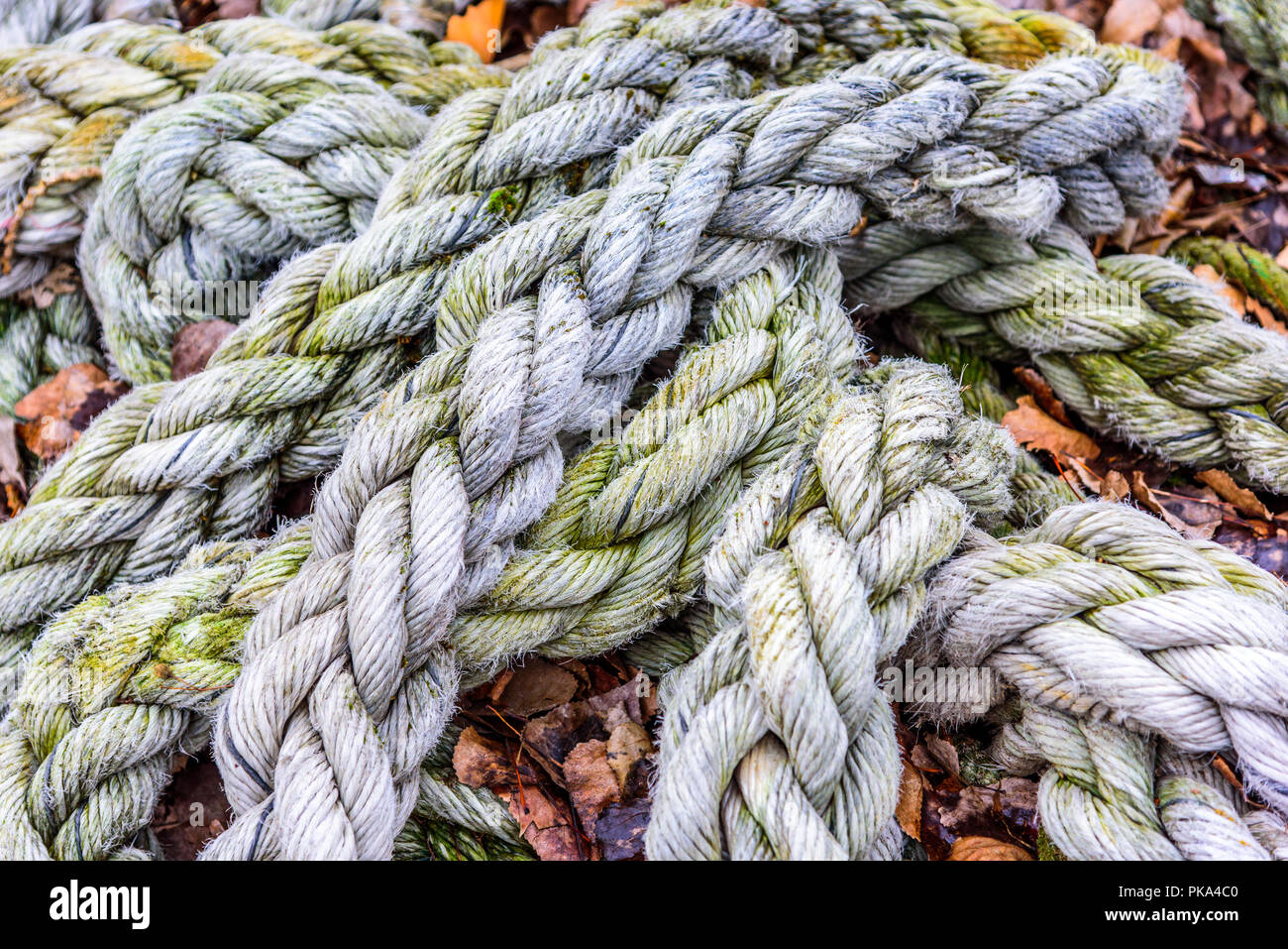 A close up of dirty old white braided rope. Stock Photo