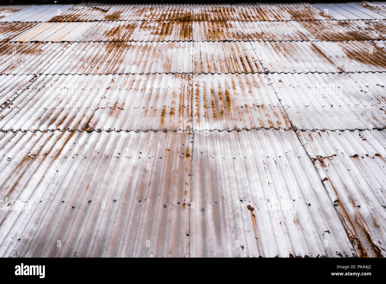 Looking up the exterior of a rusty corrugated grain elevator. Stock Photo