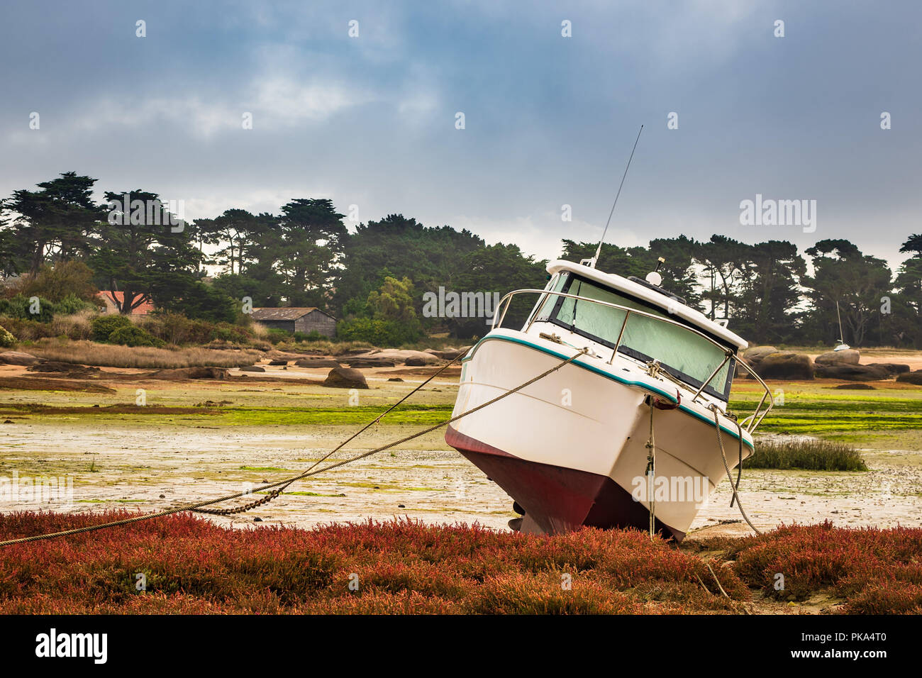Atlantic ocean coast in Brittany near Ploumanach, France Stock Photo ...