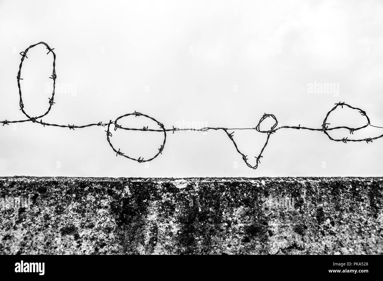 A black and white image of barbed wire formed into the word 'love'. Stock Photo