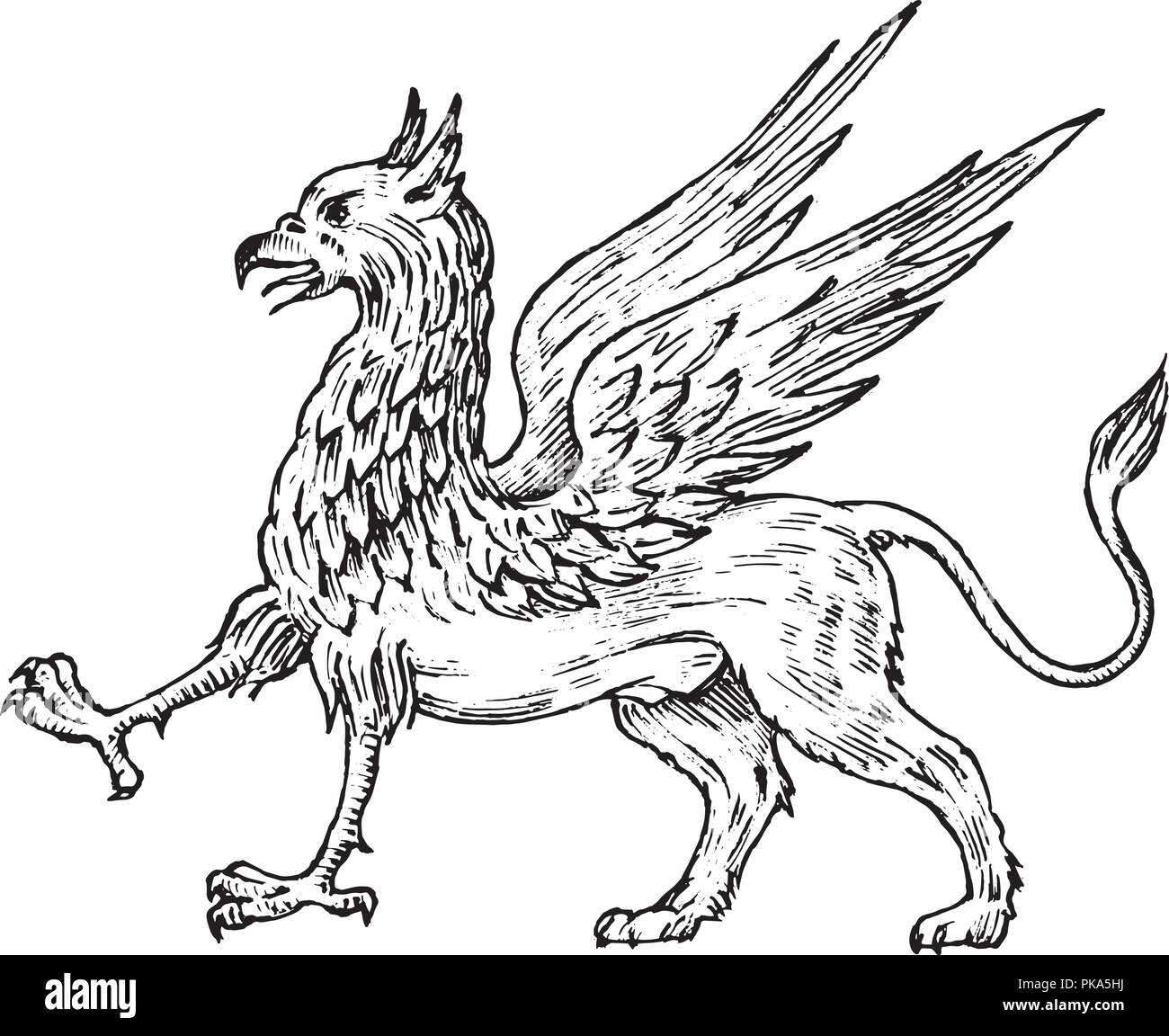 Mythological animals. Mythical antique Griffin. Ancient Birds, fantastic creatures in the old vintage style. Engraved hand drawn old sketch. Stock Vector