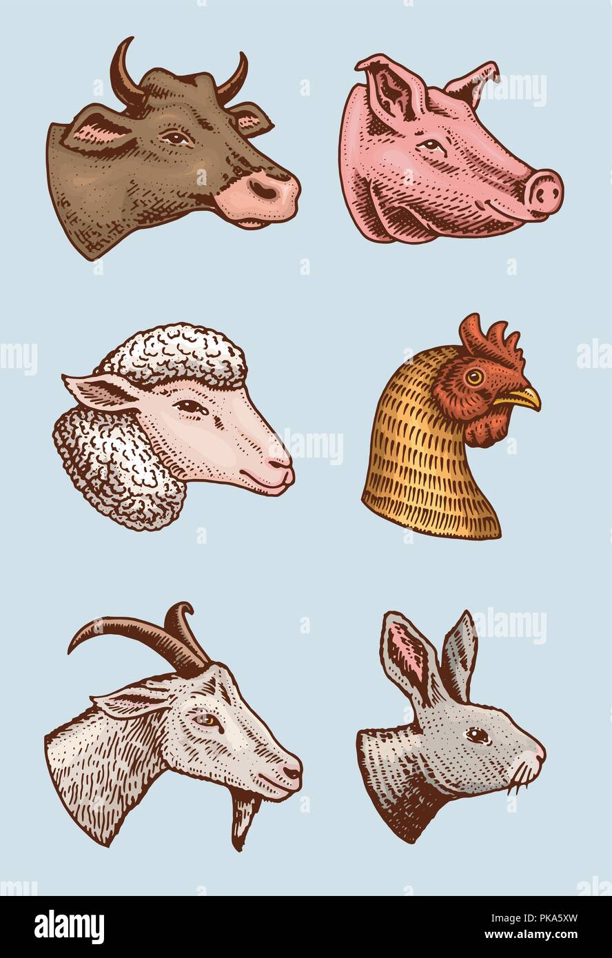 Farm animals. Head of a domestic pig goat cow rabbit sheep. Logos or emblems for signboard. Set of icons for the menu. engraved hand drawn in old sketch vintage style Stock Vector Farm animals. Head of a domestic pig goat cow rabbit sheep. Logos or emblems for signboard. Set of icons for the menu. engraved hand drawn in old sketch vintage style Stock Vector