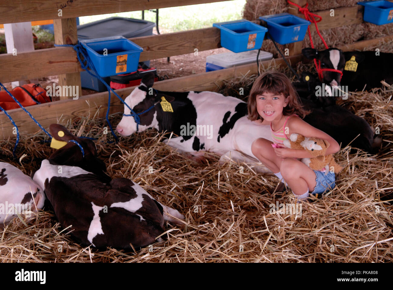 The Clarke County Fair highlights livestock exhibits, homemaking