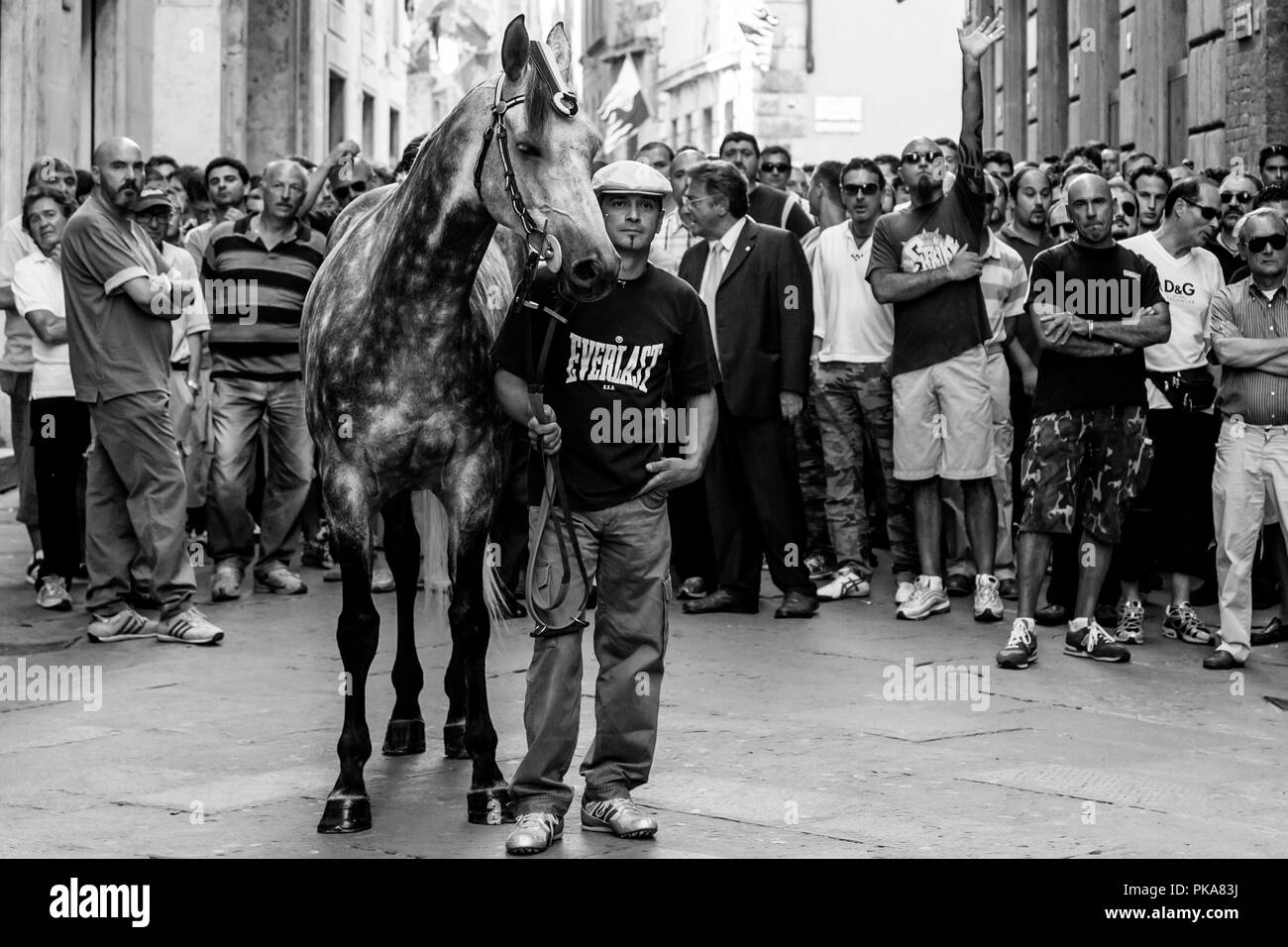 Members Of The Lupa Contrada Escort Their Horse Through The Streets To The Piazza Del Campo For One Of The Six Palio Trial Races, Siena, Italy Stock Photo